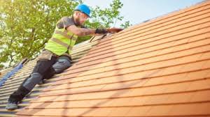 Best Roof Moss and Algae Removal  in Long Branch, VA