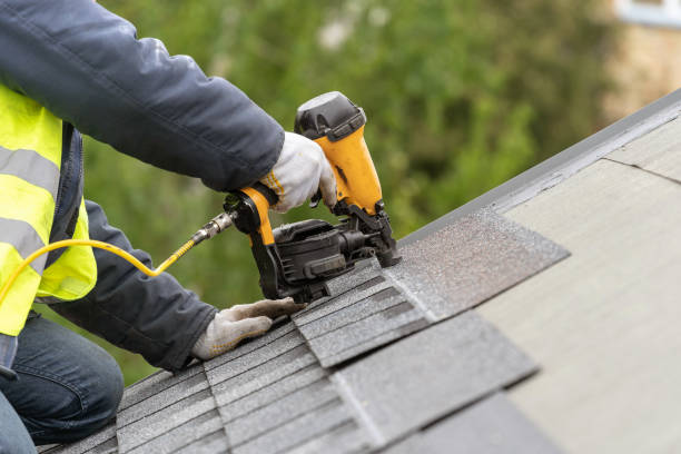 Best Skylight Installation and Repair  in Long Branch, VA