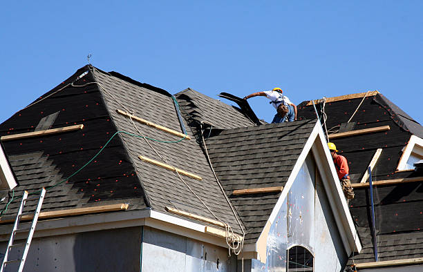 Best Green or Eco-Friendly Roofing Solutions  in Long Branch, VA