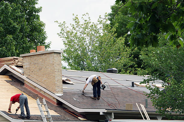 Gutter Replacement in Long Branch, VA